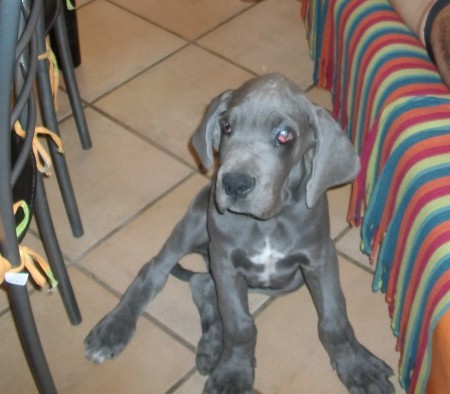 O nosso William em bébé, com 2 mesinhos