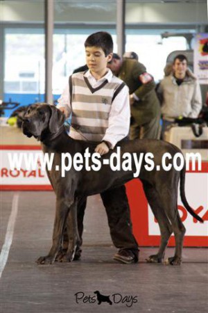 Jenny nos Jovens apresentadores :P